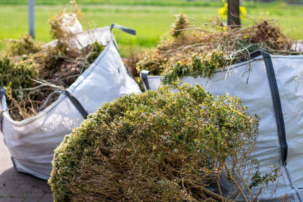 Best Carpet Removal and Disposal  in Lamoni, IA