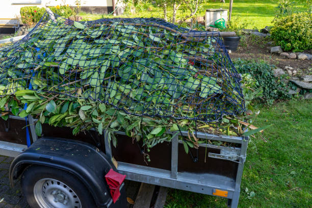 Best Construction Debris Removal  in Lamoni, IA